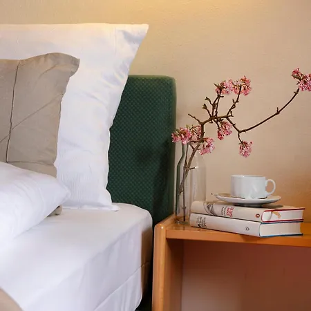 Biederstein Am Englischen Garten Hotel 3*