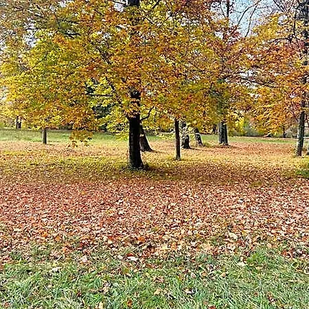 Biederstein Am Englischen Garten 3*