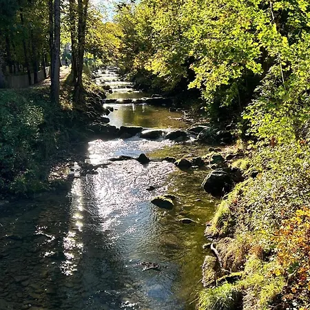Biederstein Am Englischen Garten München